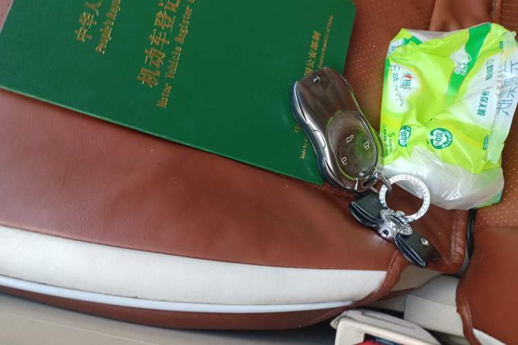 Used ORA Good Cat 2022 Morandi Edition 400km Standard Range Luxury Version Lithium-Ion Battery