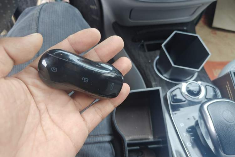 Used Denza 2017 Stylish Edition