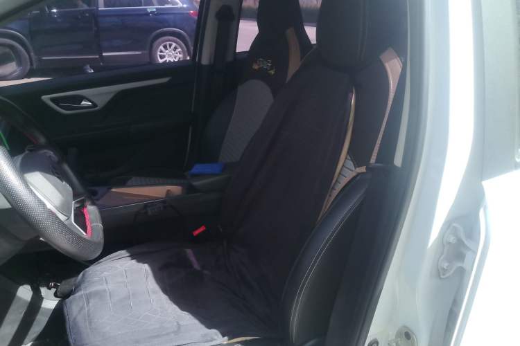 Used SOL E10X 2022 Flower Fairy Style Baby's Breath
