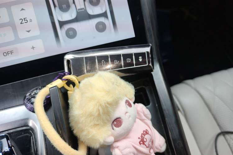 Used Wey Latte DHT 2022 1.5T DHT Extra-Large Cup
