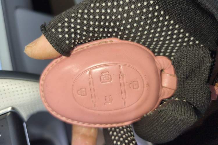 Used ARCFOX Kaola 2023 Family Edition Pro
