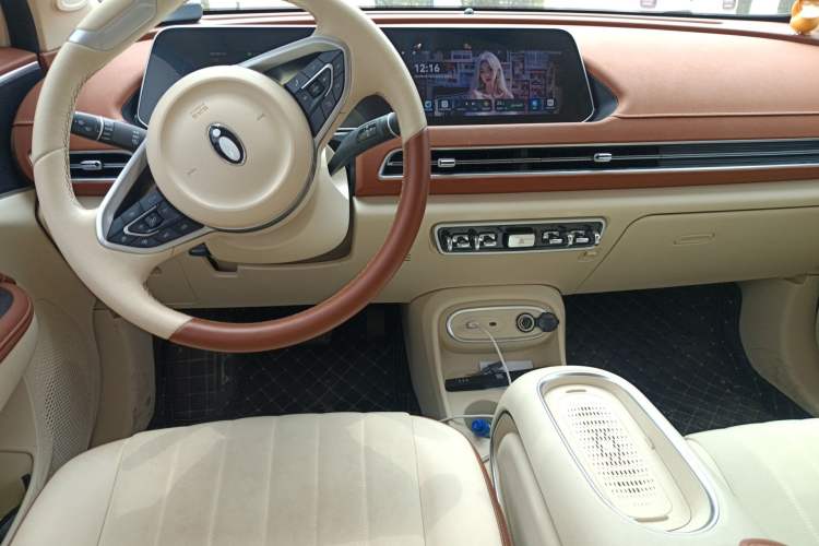 Used ORA Good Cat 2023 401 km Standard Range Luxury Version Lithium Iron Phosphate
