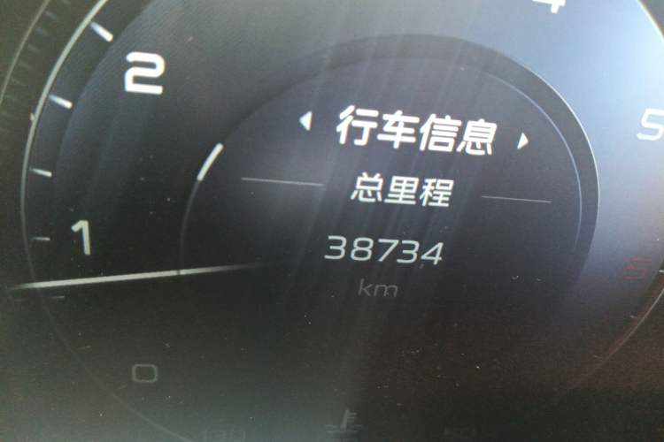 Used Hongqi H9 2020 2.0T Smart Connect Flagship Edition Odometer Close Up