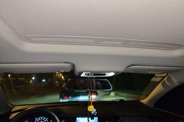 Used Buick Regal 2020 552T Luxury Version Headliner