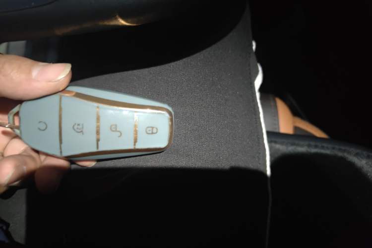 Used BYD e2 2021 Luxury Model