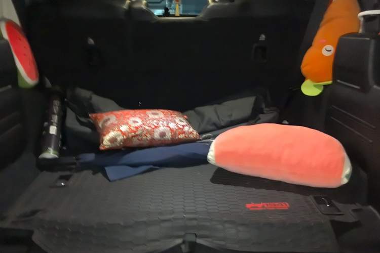 Used Jeep Wrangler 2019 2.0T Sahara 4-Door Version China V Standard
