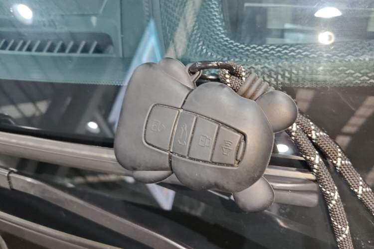 Used Haval DARGO 2024 1.5T DCT Border Collie Edition
