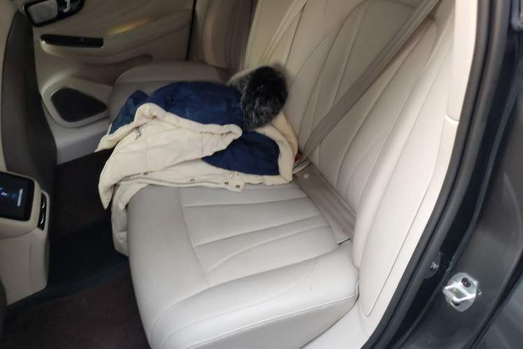 Used Rising F7 2023 Revised Edition Advanced Version Left Rear Seat