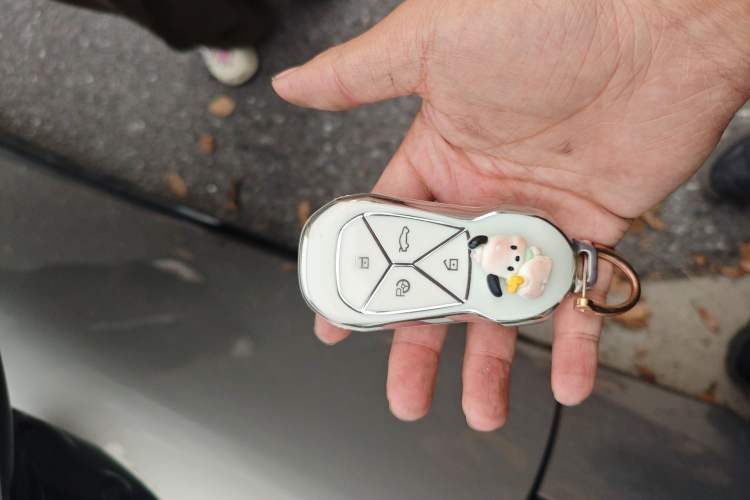 Used XPeng P7 2024 P7i 550 Max Vehicle Key