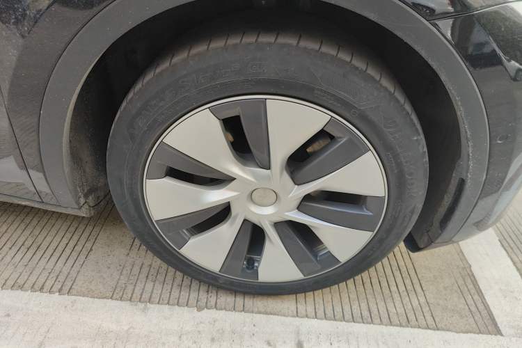 Used Tesla Model Y 2022 Rear-Wheel-Drive Version