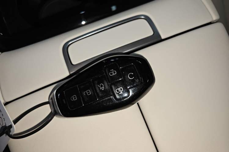 Used Denza D9 2025 DM-i Intelligent Drive 1020 Four-Wheel Drive Prestige Model