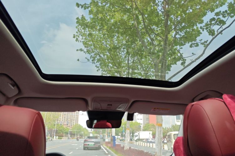 Used Hongqi HS5 2023 2.0T Qixiang Pro Edition Headliner