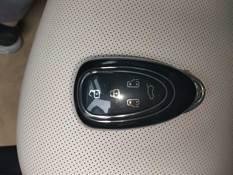 Used Wey Gaoshan 2023 Four-Wheel Drive Flagship Edition — 8