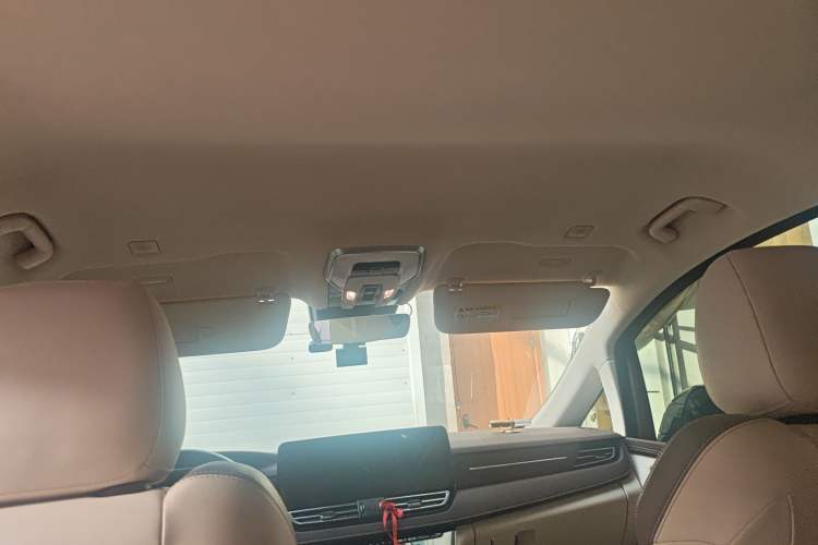 Used Hongqi HQ9 2023 2.0T Smart Connect Flagship Edition Headliner