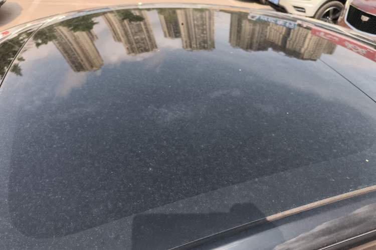 Used Tesla Model 3 2021 Standard Range Rear-Drive Upgraded Version Roof