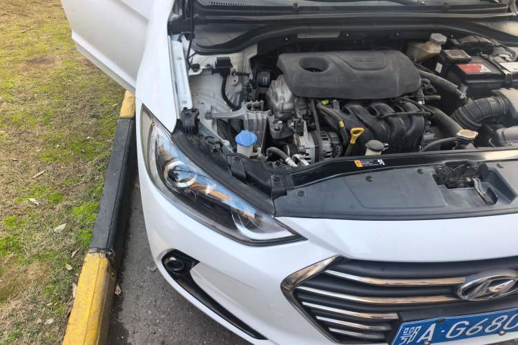 Used Hyundai Elantra (6th Generation / Lingdong) 2016 1.6L Automatic ZhiXuan – Elite Version Right Front Headlight