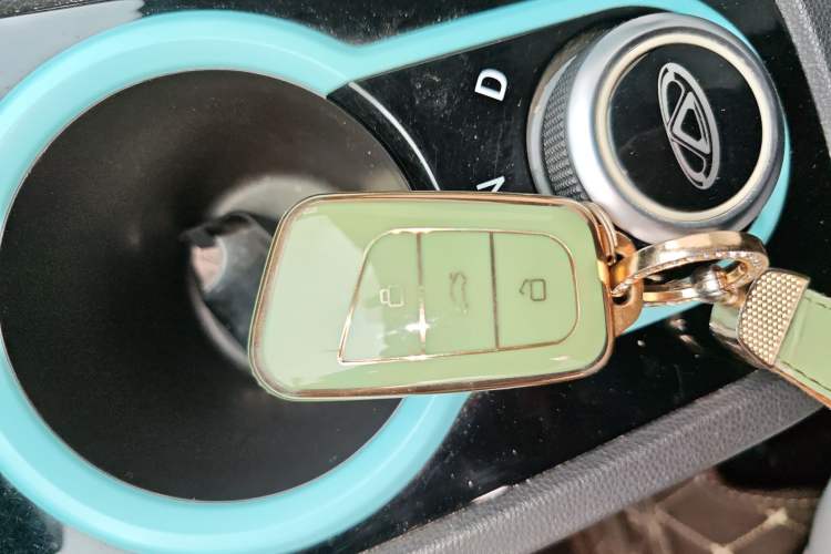 Used Chery Little Ant 2021 200 000 Yuan "Ant Fan" Edition Energized Version NMC Lithium Battery 301 km