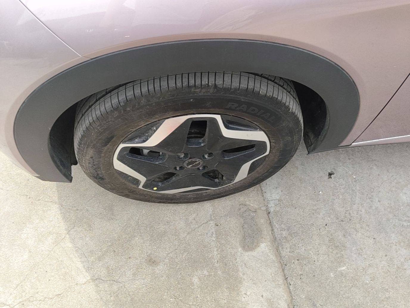 BYD Dolphin 2021 405 km Fashion Edition — снимка 10