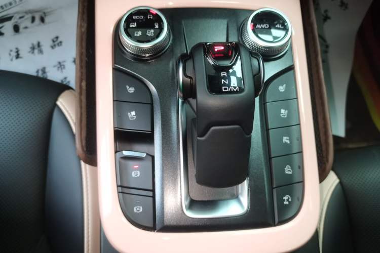 Used Tank 300 2021 City Edition 2.0T—Truly Stylish
