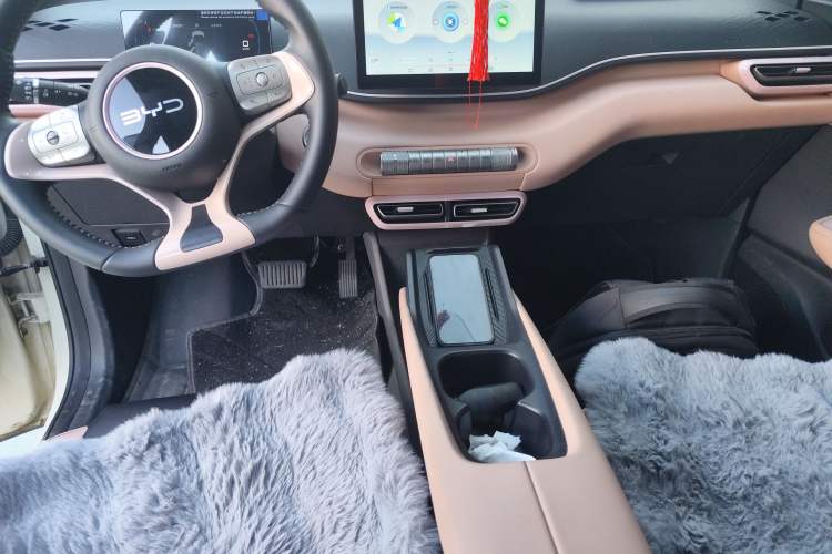 Used BYD Seagull 2025 305 km Free Version Gear Lever