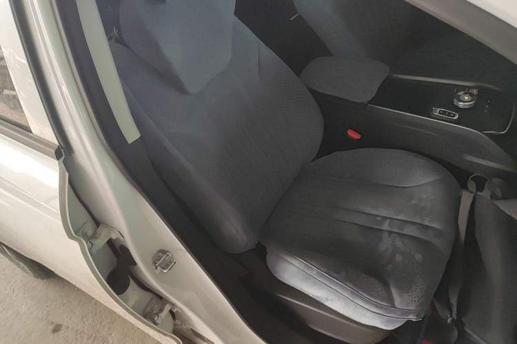 Used Livan Maple 60s 2025 Travel Edition
