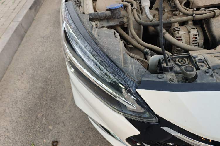 Used Ford Focus 2021 Sedan 1.5L Automatic Sharp Edition Right Front Headlight