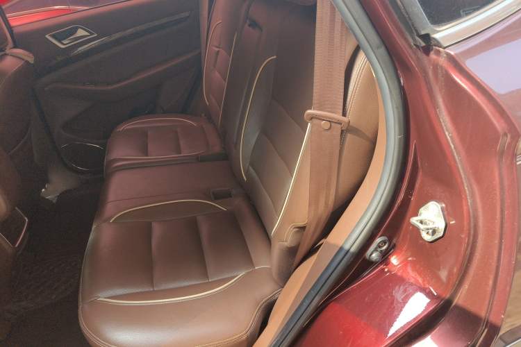 Used Leopaard CS10 2017 2.0T Automatic Luxury Model
