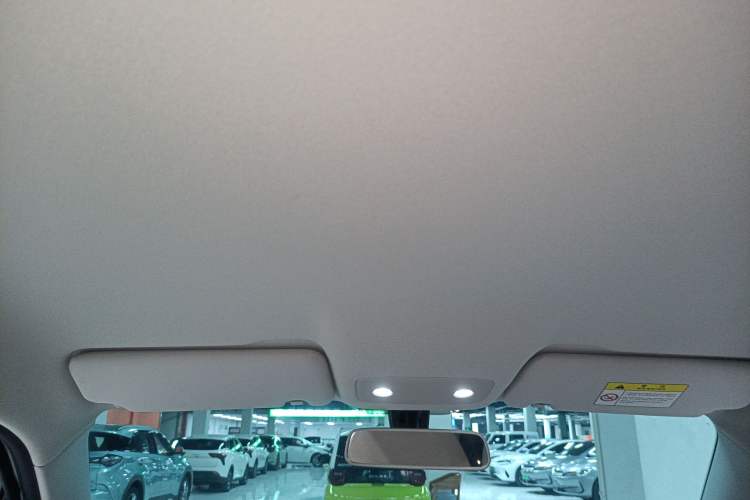 Used Leapmotor T03 2023 310 Lite Edition Headliner