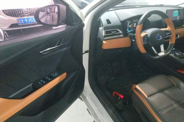 Used BYD e2 2020 Upgraded Version Long-Range Edition Luxury Model
