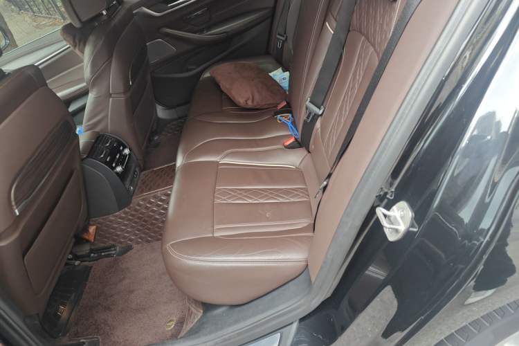 Used BMW 5 Series 2020 530Li Luxury Edition Premium Package