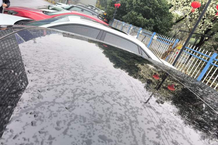 Used Audi A7L 2024 45 TFSI quattro RS Performance Edition