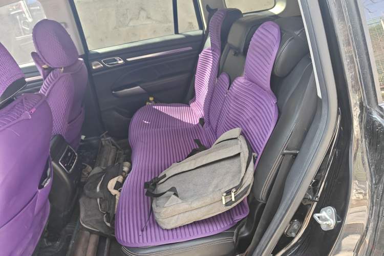 Used GAC Trumpchi GS8 2021 390T Two-Wheel Drive Luxury Smart Connect & Drive Edition (7 Seats) Left Rear Seat