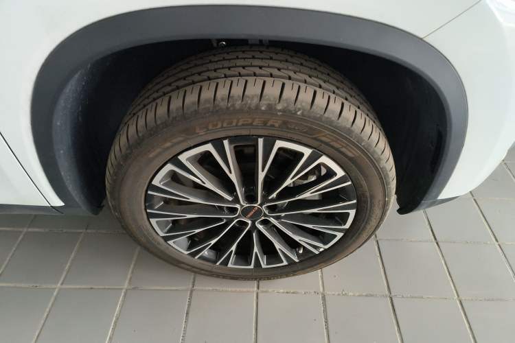 Used EXEED Lingyun 2025 300T Two-Wheel Drive Starry Edition