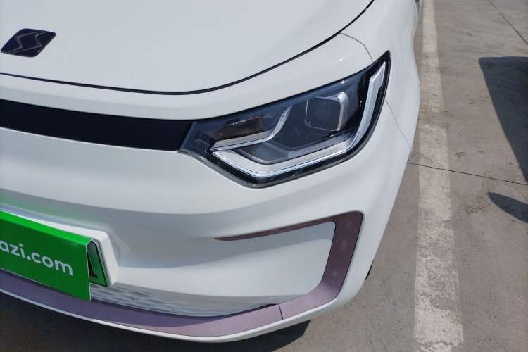 Used SOL E10X 2022 Flower Fairy Design Dandelion