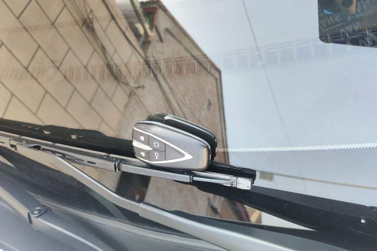 Used Qiyuan Lumin 2023 301km Honey Dew Edition
