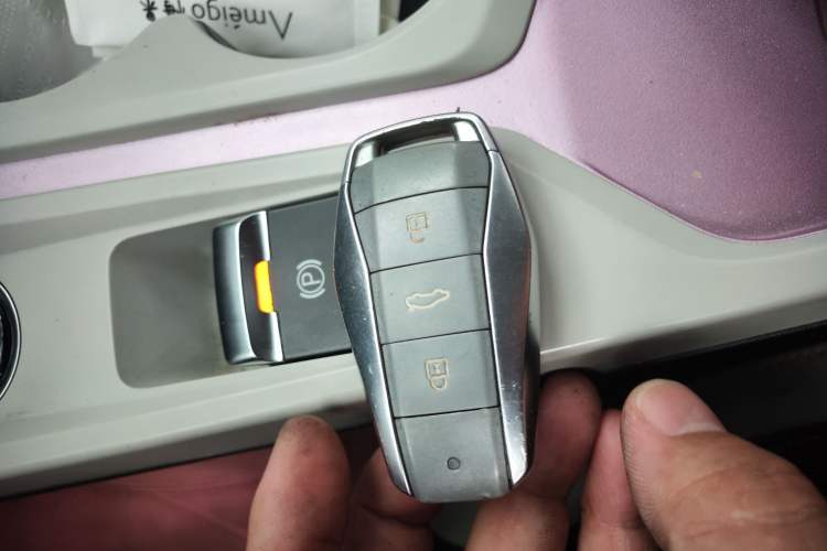 Used SOL E10X 2022 Flower Fairy Style Baby's Breath