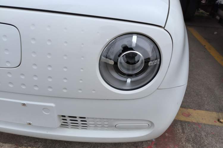 Used ORA Black Cat 2021 301km Cute Pet Edition
