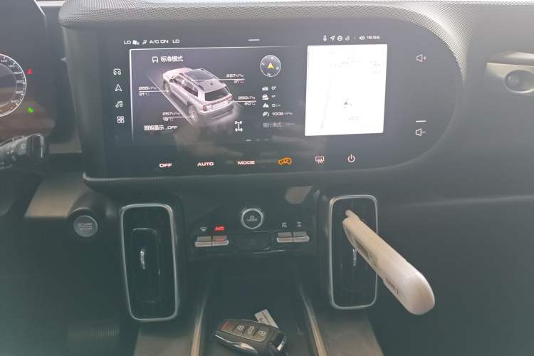 Used Haval DARGO 2024 2.0T DCT Chinese Rural Dog Edition
