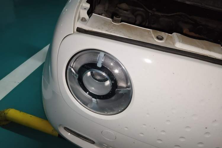 Used ORA Black Cat 2019 351 km Goddess Edition