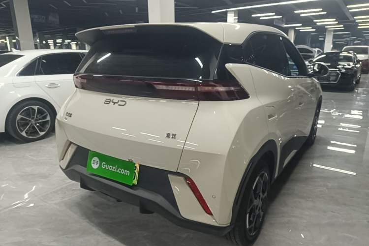 Used BYD Seagull 2025 305 km Free Version Rear Right 45 Deg