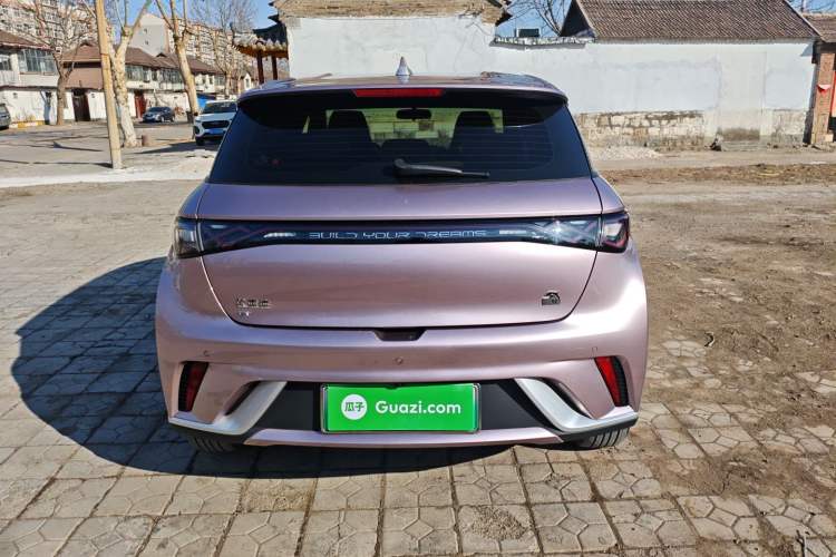 Used BYD Dolphin 2024 Honor Edition 420km Freedom Version