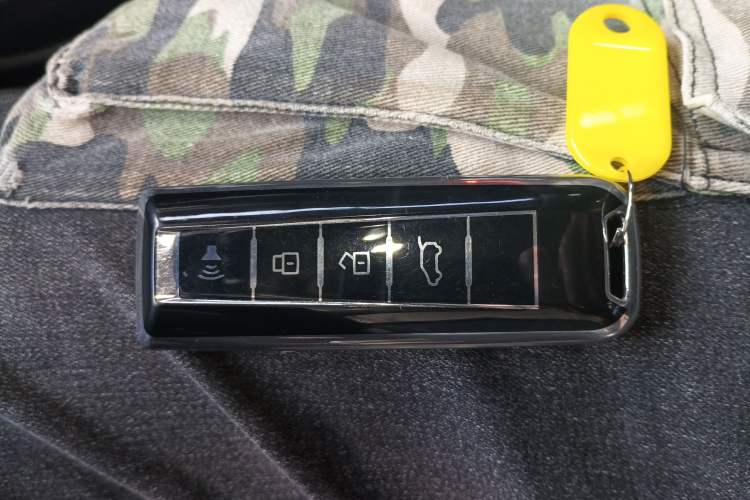 Used Wey P8 2018 2.0T Flagship Model
