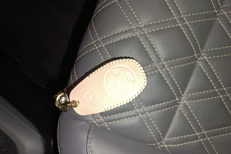 Used Leapmotor T03 2021 400 Luxury Edition
