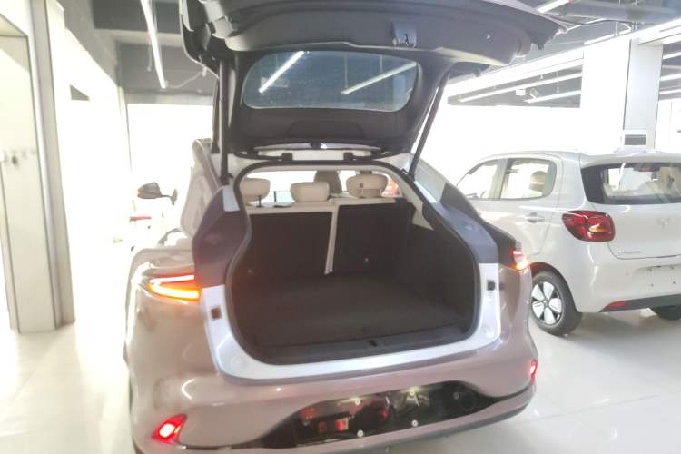 Used IM LS6 2023 Max Long-Range Version
