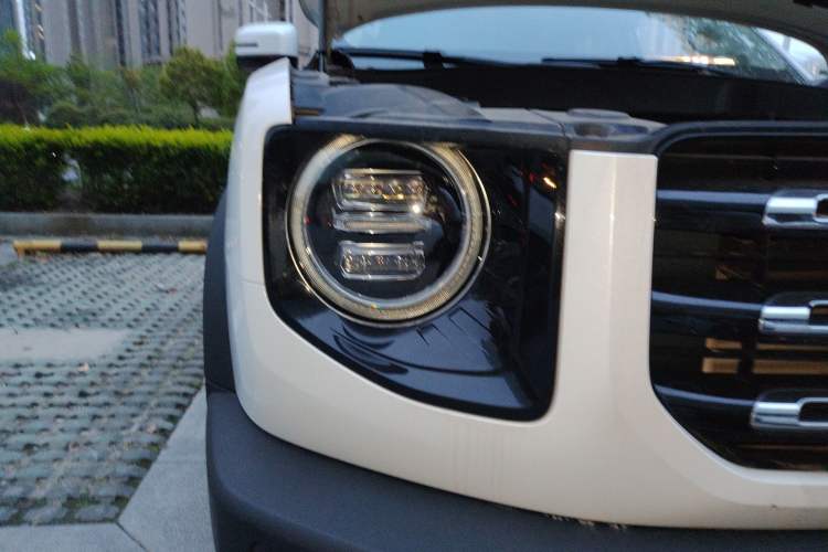 Used Haval DARGO 2021 1.5T DCT Two-Wheel Drive Labrador Edition