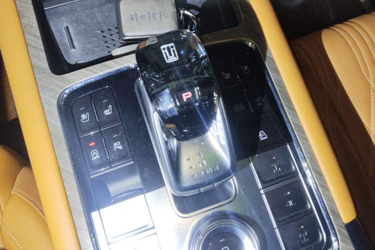 Used Tank 500 2022 3.0T Business Edition "Creation Realm" Design 5-Seater Gear Lever