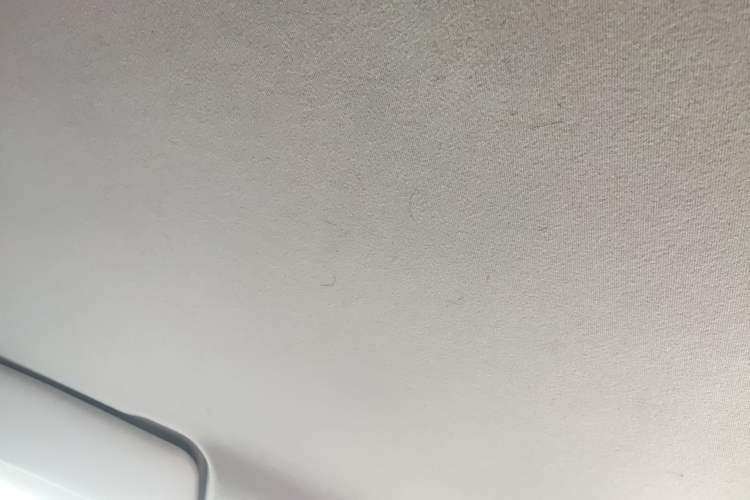 Used Bestune Pony 2024 170km Range Energizing Horse Headliner