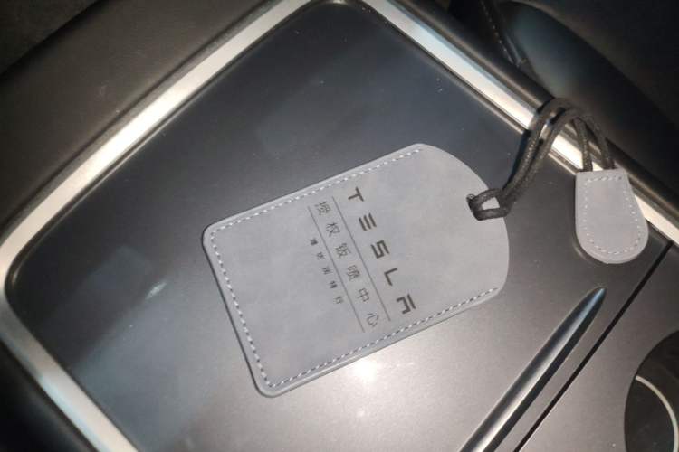 Used Tesla Model 3 2022 Rear-Wheel-Drive Version Vehicle Key