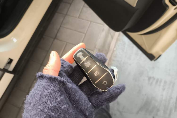 Used BYD Sealion 06 New Energy 2025 Model EV 520 Navigation Edition