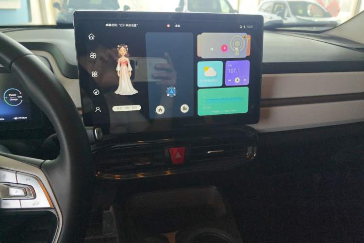 Used SOL E10X 2022 Flower Fairy Design Sunflower